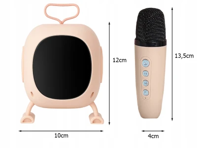 Verk 27500 Karaoke Bluetooth reproduktor RGB s bezdrátovým mikrofonem, černý