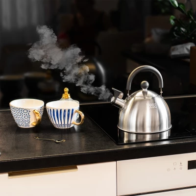  Teesa TSA0153 Konvice na vaření vody s píšťalkou 1,8 L, nerez 