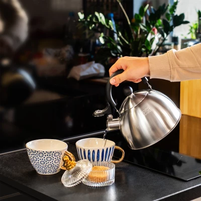  Teesa TSA0153 Konvice na vaření vody s píšťalkou 1,8 L, nerez 