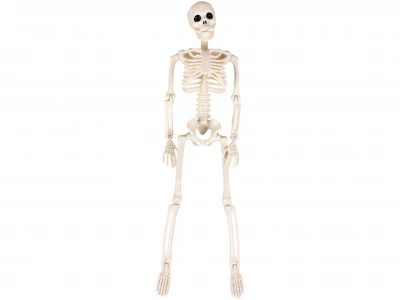 Ruhhy 26027 Lidská kostra dekorace na Halloween 40 cm 