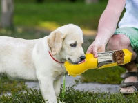 Verk 19500 Přenosný dávkovač vody a krmiva pro domácí mazlíčky, růžový