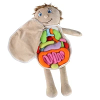 KIK KX2954 Vzdělávací panenka - anatomický model, chlapec
