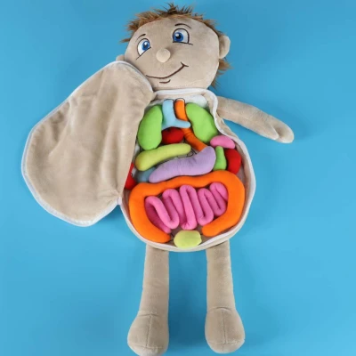 KIK KX2954 Vzdělávací panenka - anatomický model, chlapec