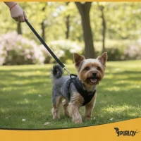 Purlov 26869 Postroj pro psa vel. XS, černý