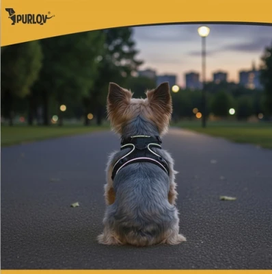 Purlov 26869 Postroj pro psa vel. XS, černý