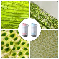 Genetic 4059 Vzdelávací mikroskop pre deti 40x - 160x