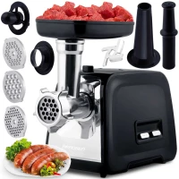 Berdsen 360100 Elektrický mlynček na mäso BD-601A 450/1200 W