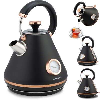 Berdsen 370100 Rýchlovarná kanvica s teplomerom 1,7 l BD-701, čierna