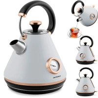 Berdsen 370102 Rýchlovarná kanvica BD-701 s teplomerom 1,7 l - sivá