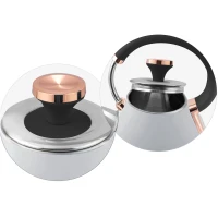 Berdsen 370102 Rýchlovarná kanvica BD-701 s teplomerom 1,7 l - sivá