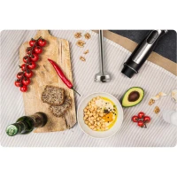 Berdsen 375400-375500 Tyčový mixér s fľašou 1500 W BD-754