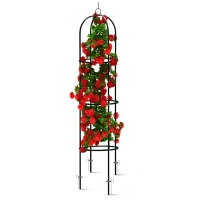 Plonos PL-992 Zahradní kovová opora pro popínavé rostliny 200 cm, černá