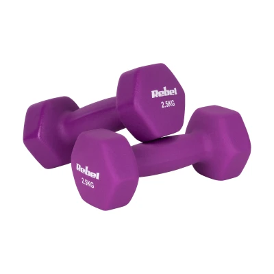 Rebel RBA-2330-2.5 Litinové neoprenové HEX činky 2×2,5 kg, fialové