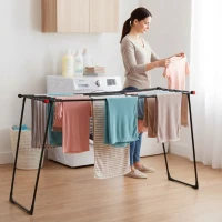 ModernHome BJ-1928-2 Teleskopický sušák na prádlo 19 m, skládací, černý