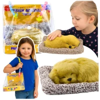 LEAN Toys 27898 Spící labrador na polštáři s měkkým kožíškem a taškou