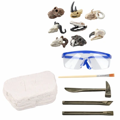 LEAN Toys 28928 Archeologická vykopávková sada, lebky, kosti, nástroje a doplňky