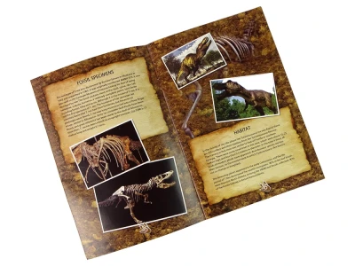 LEAN Toys 14060 Edukační sada vykopávky - dinosaurus Tyranosaurus