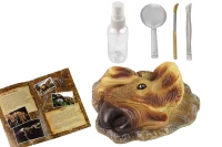 LEAN Toys 14061 Edukační sada Vykopávky dinosaurus Triceratops