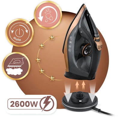 Berdsen BD-333 Akumulátorová parná žehlička s keramickou žehliacou plochou, 2600 W, čierna