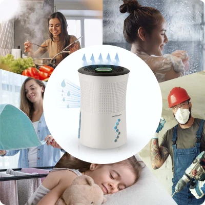 Berdsen BD-527 Odvlhčovač vzduchu 300 ml/den, 22,5 W, bílý