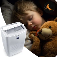 Prenosná klimatizácia Berdsen BD-581 14 000 BTU, 4 000 W, Wi-Fi, 5 v 1, biela