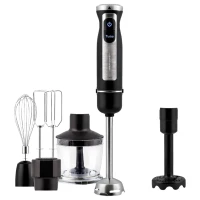 Berdsen BD-754 Ručný mixér s titánovými nožmi, 1500 W, 5 v 1, čierny