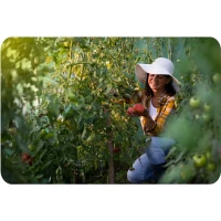 Plonos 4916-B Záhradný skleník 2,5 x 4 m, 140 g/m², zelený 