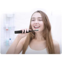 Berdsen Sonica B3 sonický zubní kartáček s pouzdrem, černý