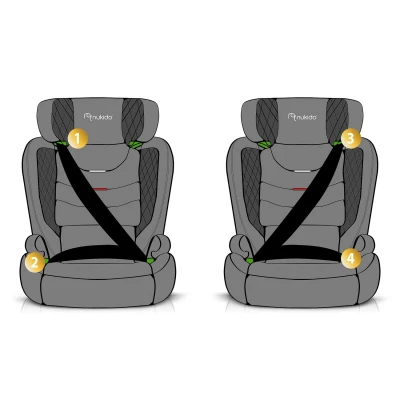 Nukido 710001 Autosedačka Louis ISOFIX 15 - 36 kg, 100-150 cm, šedá 