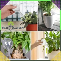 RealG RC-K-1754 Fľaša na vodu 250 ml, 8 ks