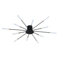 RealG 1244 Stropní LED lustr Ohňostroj 12 W, 220 V, 1350 lm, 12 ramen