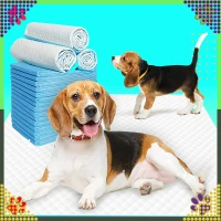 RealG RC-K-1508 Tréninkové absorpční podložky pro psy 40 x 60 cm, 50 ks, modré
