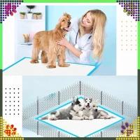 RealG RC-K-1511 Tréninkové absorpční podložky pro psy 40 x 60 cm, 20 ks, modré