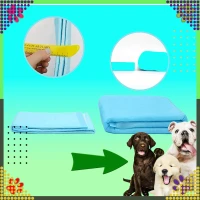 RealG RC-K-1511 Tréninkové absorpční podložky pro psy 40 x 60 cm, 20 ks, modré