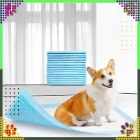 RealG RC-K-1511 Tréninkové absorpční podložky pro psy 40 x 60 cm, 20 ks, modré