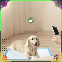 RealG RC-K-1511 Tréninkové absorpční podložky pro psy 40 x 60 cm, 20 ks, modré