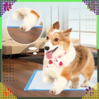 RealG RC-K-1511 Tréninkové absorpční podložky pro psy 40 x 60 cm, 20 ks, modré