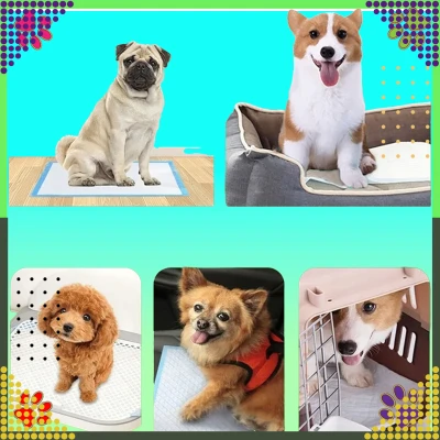 RealG RC-K-1511 Tréninkové absorpční podložky pro psy 40 x 60 cm, 20 ks, modré