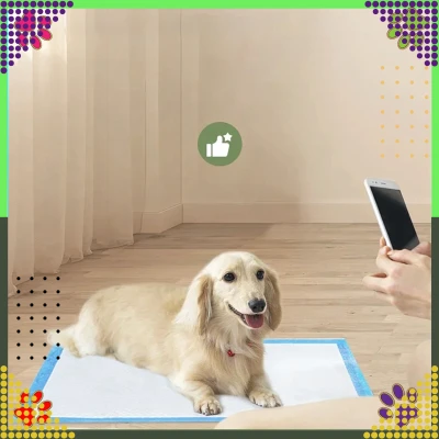 RealG RC-K-1511 Tréninkové absorpční podložky pro psy 40 x 60 cm, 20 ks, modré