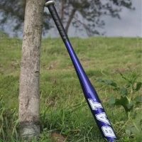 RealG RC-K-1851 Baseballová pálka hliníková 64 cm, tréninková, modrá
