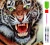 RealG RC-K-091 Diamantová maľovanková sada 5D, 30 x 40 cm, Tiger