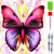 RealG RC-K-007 Diamantové malování sada 5D, 15 x 20 cm, motýl