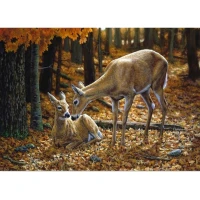 RealG RC-K-179 Diamantové malování na rámu 5D, 30 x 40 cm, srnky