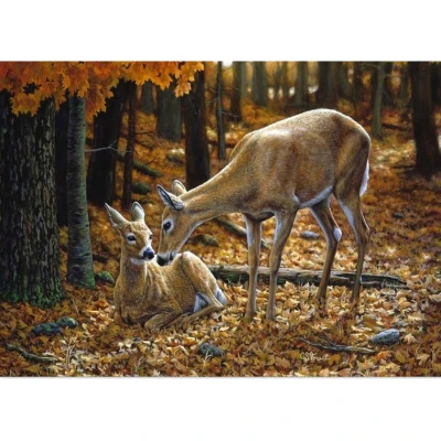 RealG RC-K-179 Diamantové malování na rámu 5D, 30 x 40 cm, srnky