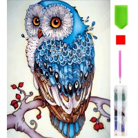 RealG RC-K-003 Diamantové malování sada 5D, 15 x 20 cm, barevná sova