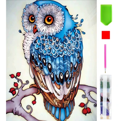 RealG RC-K-003 Diamantové malování sada 5D, 15 x 20 cm, barevná sova