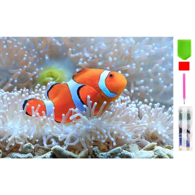 RealG RC-K-144 Diamantové malování sada 5D, 20 x 30 cm, Nemo