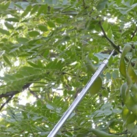 RealG RC-K-2213 Teleskopický zberač ovocia 400 cm, 4 nadstavce