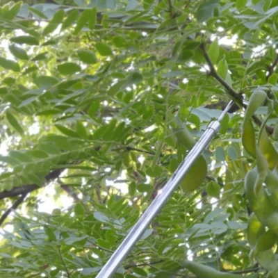 RealG RC-K-2213 Teleskopický zberač ovocia 400 cm, 4 nadstavce