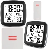 Meteorologická stanica Berdsen BD-903 s displejom, strieborná
